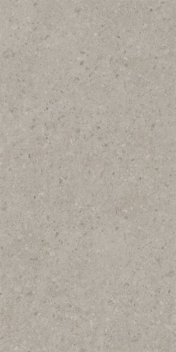 DD591320R Чеппо ди Гре бежевый светлый матовый обрезной 119,5x238,5x0,9 - фото 123982