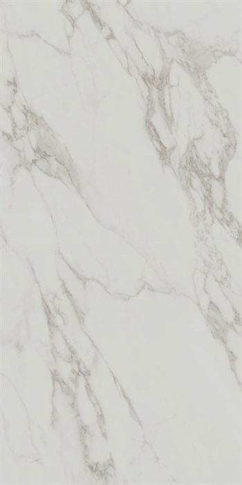SG572390R Монте Тиберио серый светлый матовый обрезной 80x160x0,9 - фото 95716