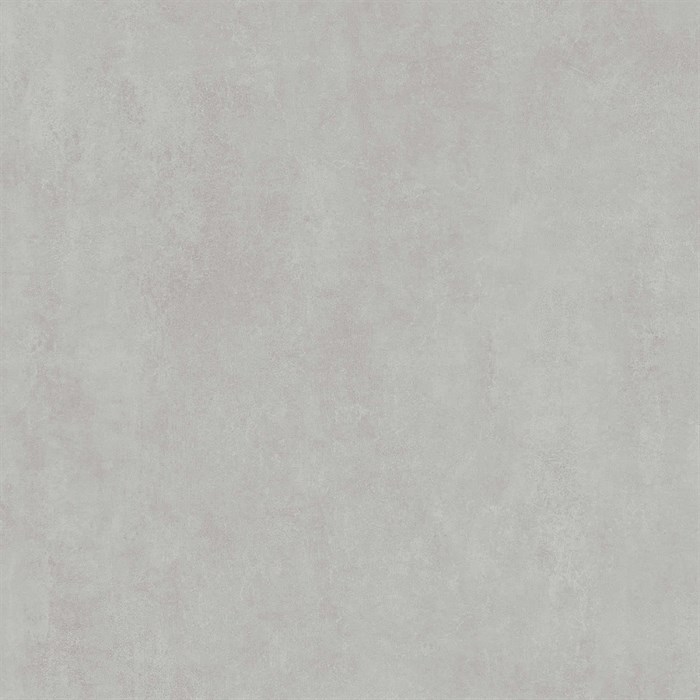 DD841190R Про Догана серый светлый матовый обрезной 80x80x0,9 - фото 95778
