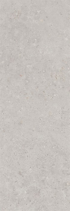 14053R Риккарди серый светлый матовый обрезной 40x120x1 - фото 96339