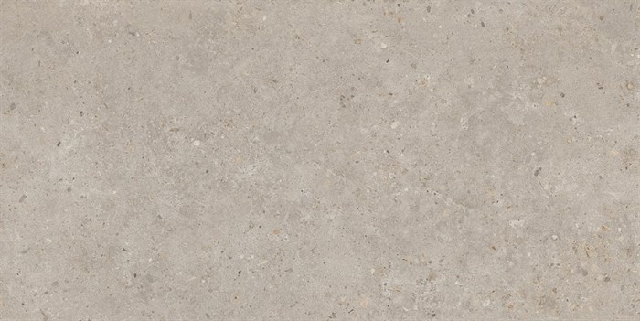 SG540620R Риккарди бежевый матовый обрезной 60x119,5x0,9 - фото 96682