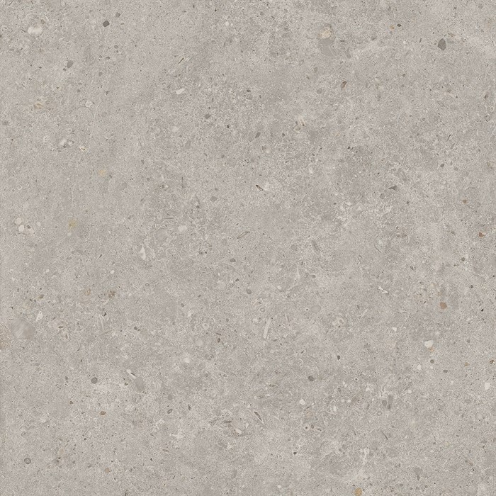 SG653720R Риккарди серый светлый матовый обрезной 60x60x0,9 - фото 96683