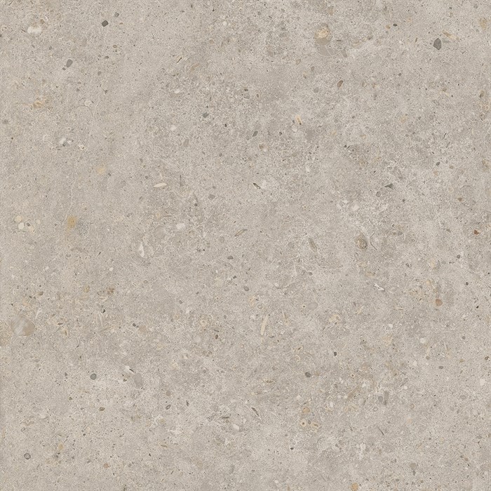 SG653820R Риккарди бежевый матовый обрезной 60x60x0,9 - фото 96684