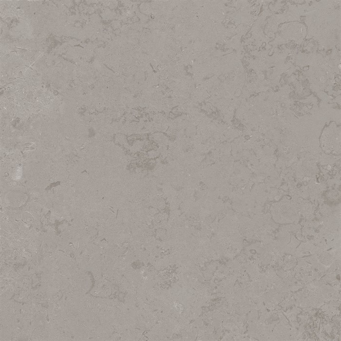 DD640920R Про Лаймстоун серый натуральный обрезной 60x60x0,9 - фото 98239