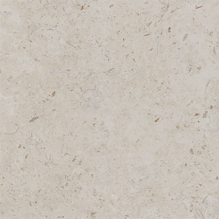 DD641220R Про Лаймстоун бежевый натуральный обрезной 60x60x0,9 - фото 98284