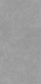 DD590700R Про Стоун серый матовый обрезной 119,5х238,5x1,1