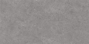 {{photo.Alt || photo.Description || 'DL500920R Фондамента серый обрезной 60x119,5x0,9'}}