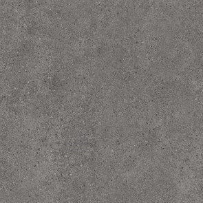 {{photo.Alt || photo.Description || 'DL601520R Фондамента пепельный обрезной 60x60x0,9'}}