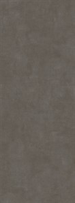 SG070500R Beton Antracite 119,5x320х11