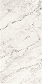 SG090800R6 Breccia Capraia 160x320х6