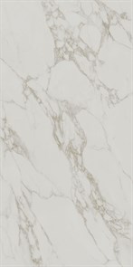 SG593120R Монте Тиберио серый светлый матовый обрезной 119,5x238,5x0,9