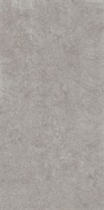 {{photo.Alt || photo.Description || 'DD590620R Про Лаймстоун АТ серый натуральный обрезной 119,5x238,5x0,9'}}