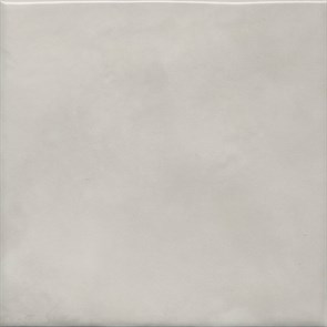 5306 Адриатика серый глянцевый 20x20x0,69