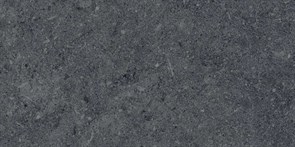 DL200800R20 Роверелла серый тёмный обрезной 30x60x20