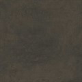 DD639820R Про Фьюче коричневый обрезной 60x60x0,9 - фото 110314