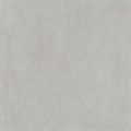 DD841190R Про Догана серый светлый матовый обрезной 80x80x0,9 - фото 95778