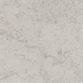 DD641020R Про Лаймстоун серый светлый натуральный обрезной 60x60x0,9 - фото 98263